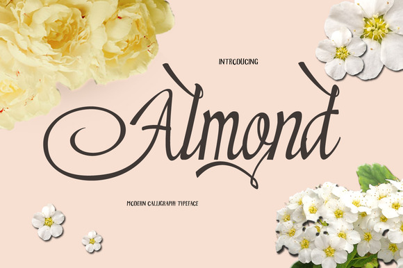 Almond: A Brush Script Font for Clearer Campaign Messaging