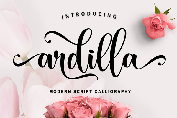 Ardilla Font: A Classic Calligraphy Script for Digital Design