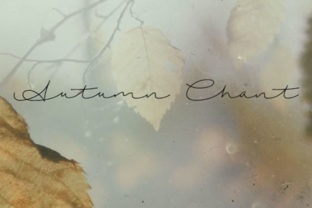 Autumn Chant Font for Marketing Campaigns and Creative Content