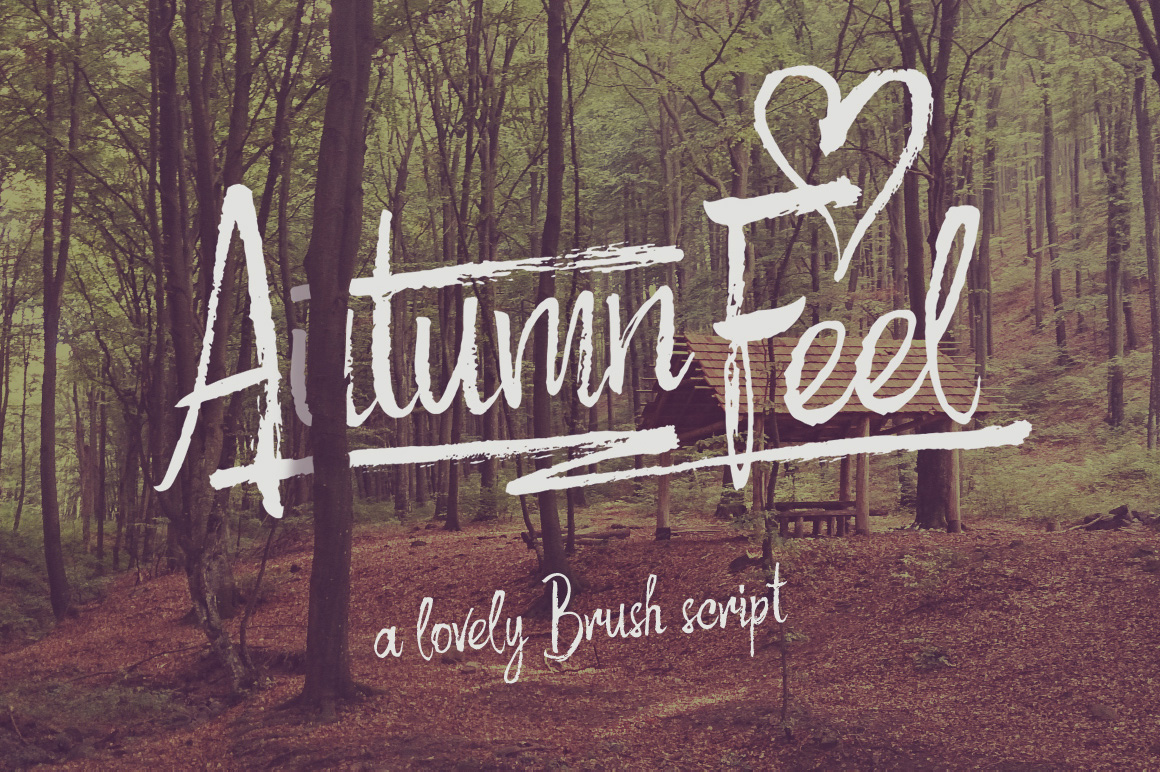 Autumn Feel Dry Brush Script Font for Editorial Design