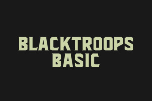 Blacktroops Basic: A Clean Sans Serif Typeface for Modern Brands