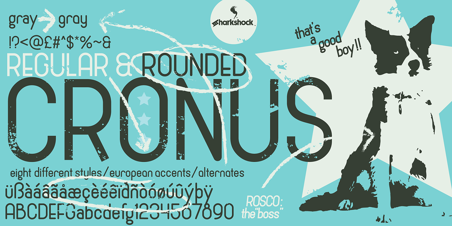 Cronus: A Rounded Sans Serif Font for Editorial Design