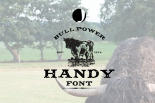Finding a Characterful Font for Authentic Branding: Reviewing Handy