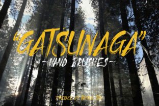 Gatsunaga Hand Brushes: A Maker-Friendly Display Font