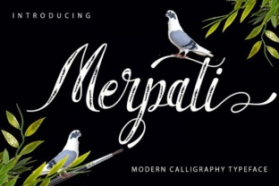 Merpati Handwritten Script Font for Web Designers
