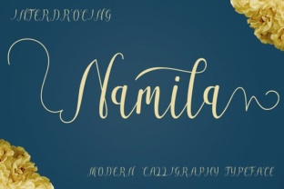 Namila Handwritten Script Font for Web Design