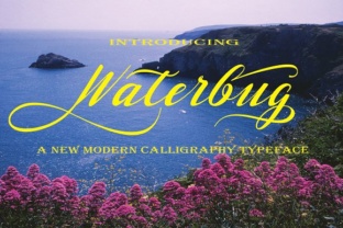 Waterbug: A Handwritten Font for Beautiful Brand Visuals